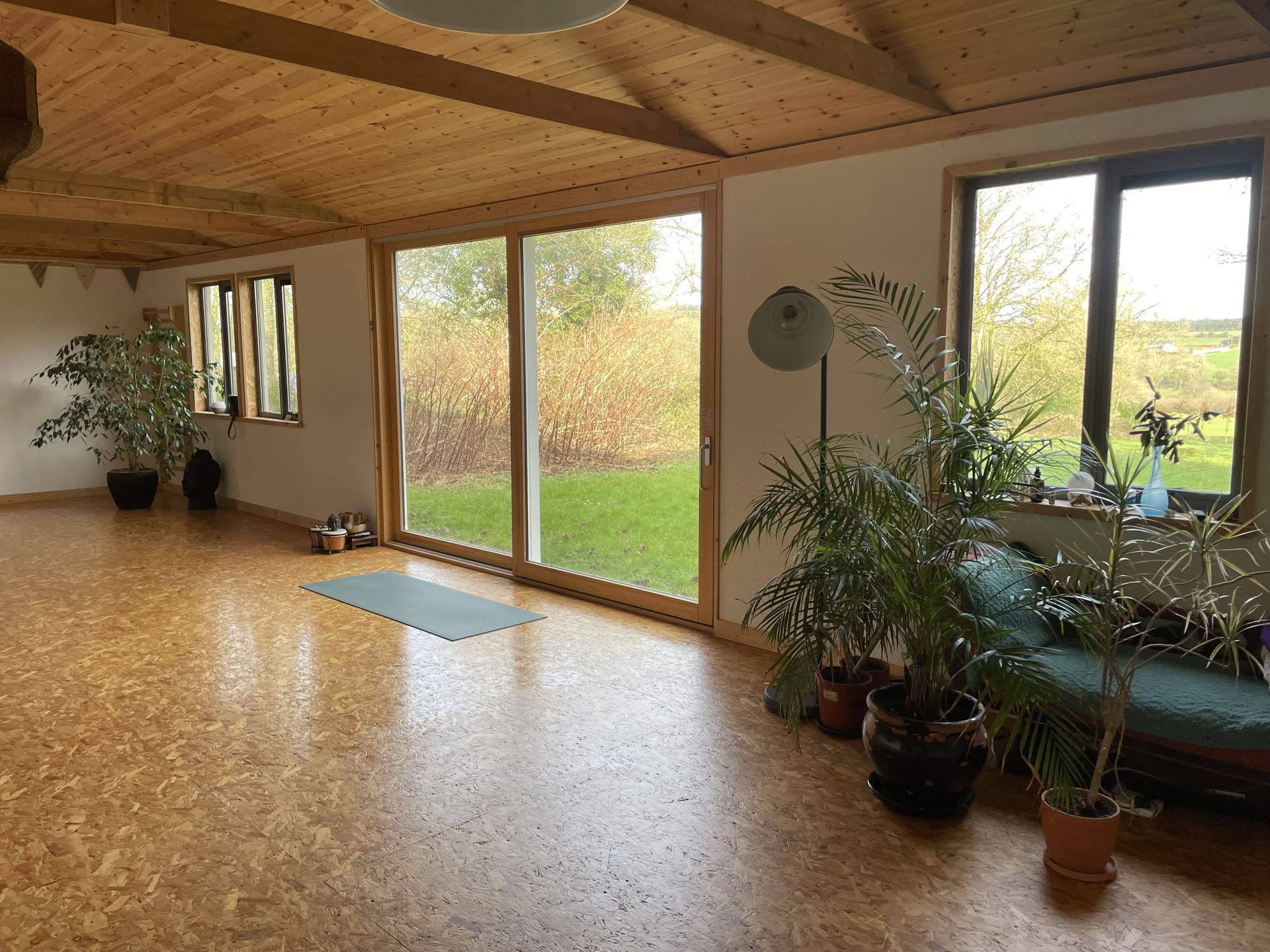 Yoga mit Hilary