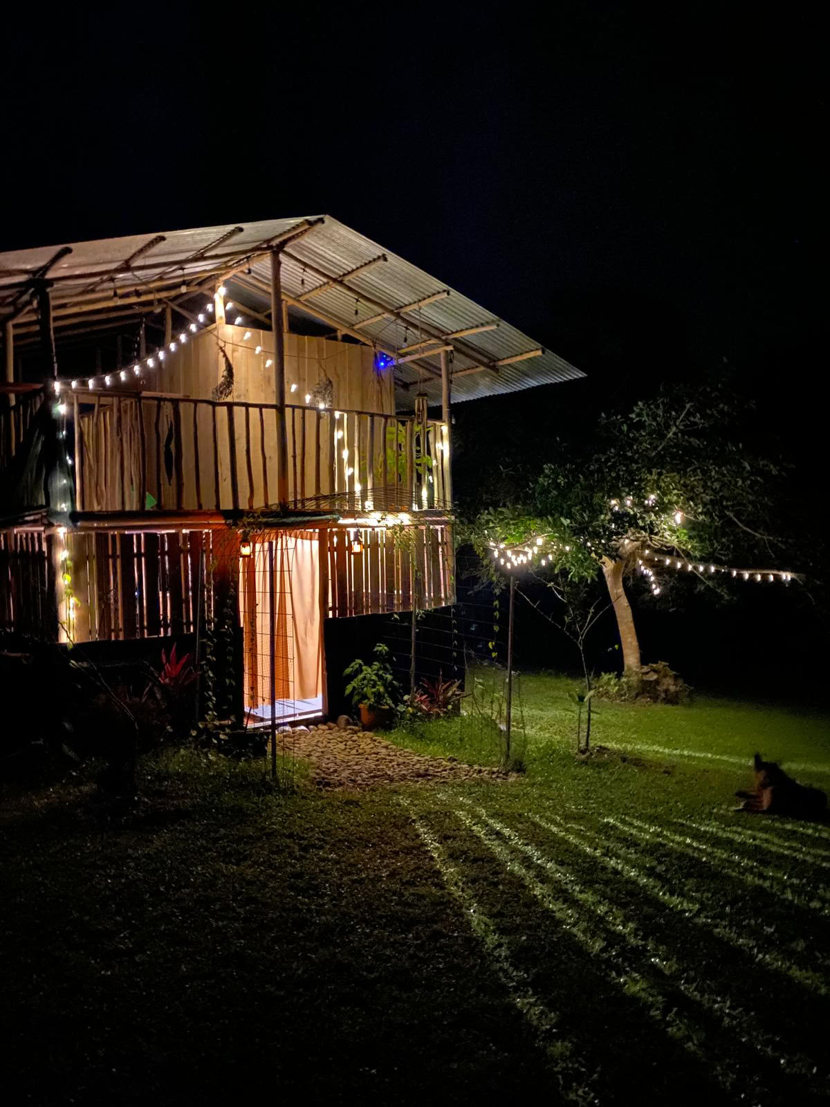 Privates Psilocybin-Retreat in Costa Rica