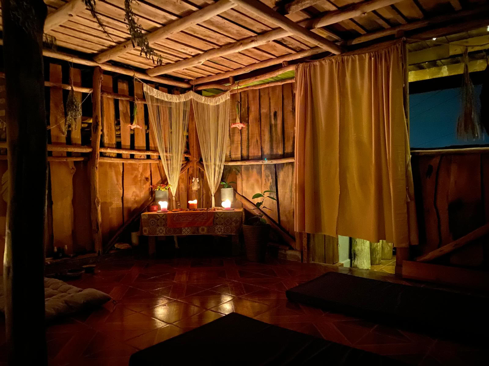 Private Psilocybin-Zeremonie in Costa Rica