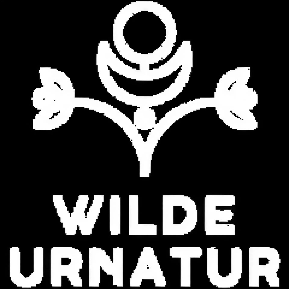 Erfahrungs-SEMINAR | Wien: Maya Womb Medicine