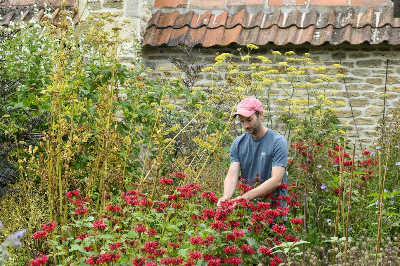 Wilde Wächter bei 42 Acres