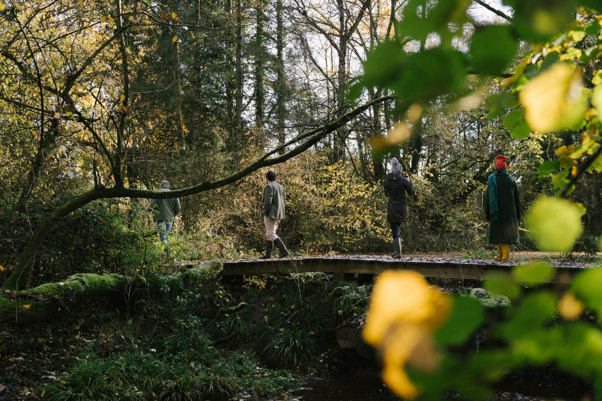 Wald-Schnitzeljagd