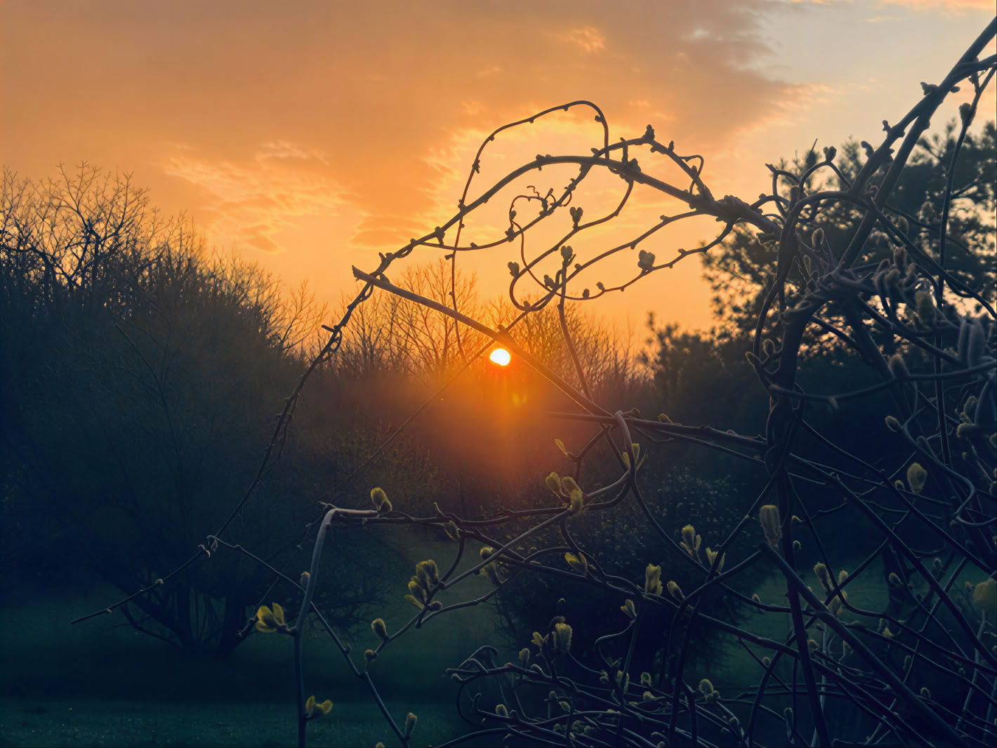 Heilendes Yoga- und Meditations-Retreat