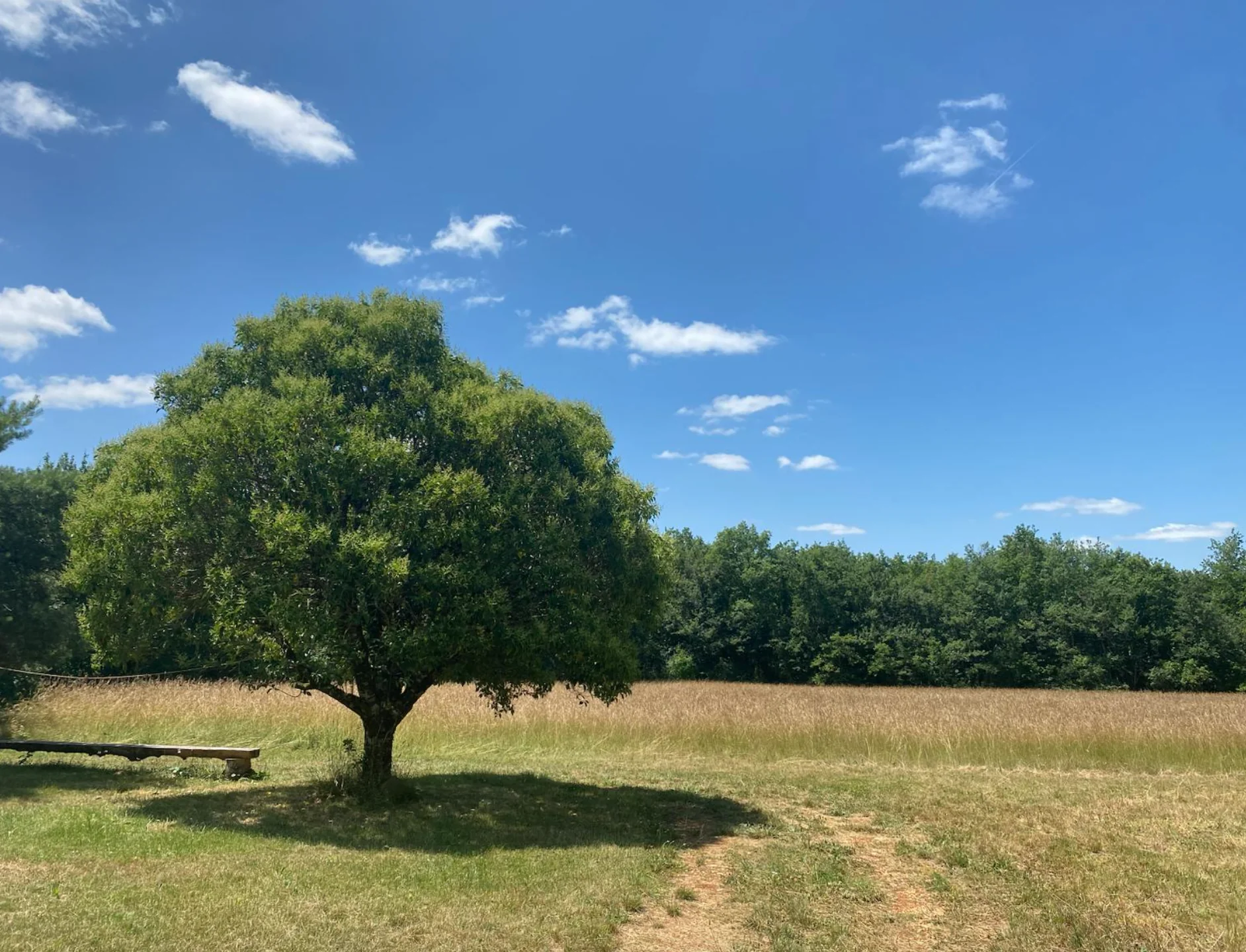 Yoga- und Meditations-Retreat in Südfrankreich