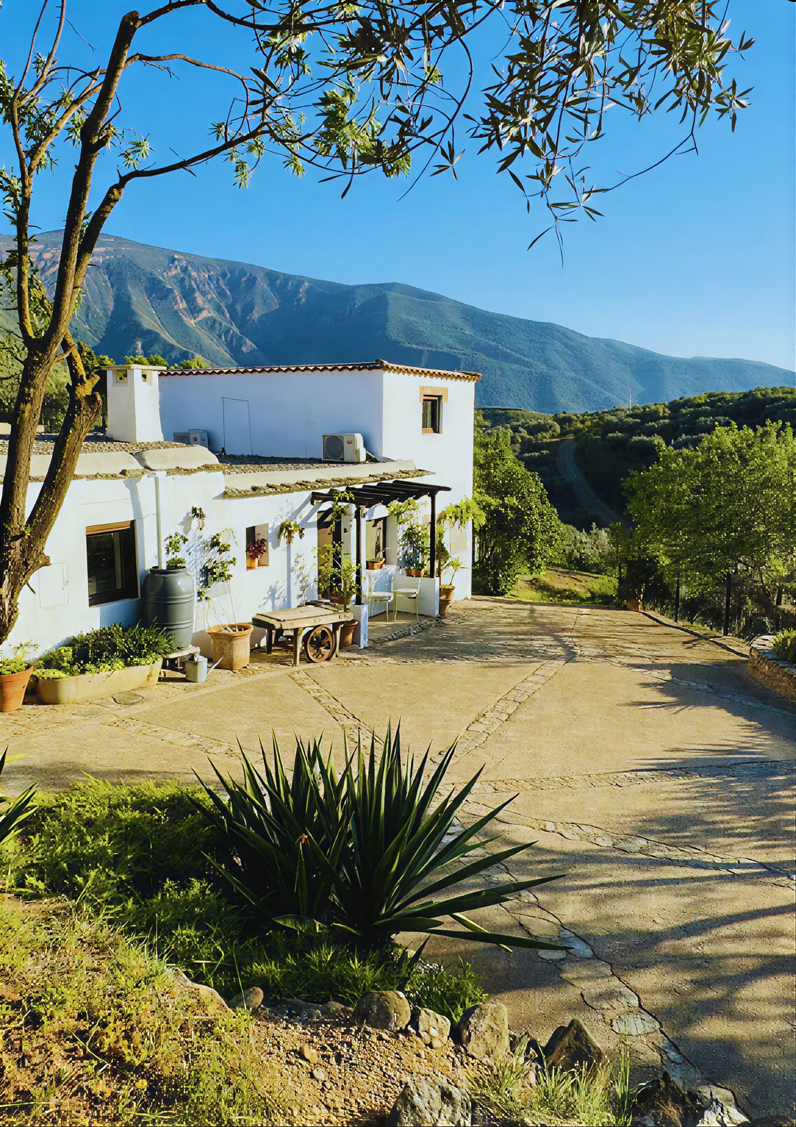 6-tägiges Natur- und Yoga-Retreat