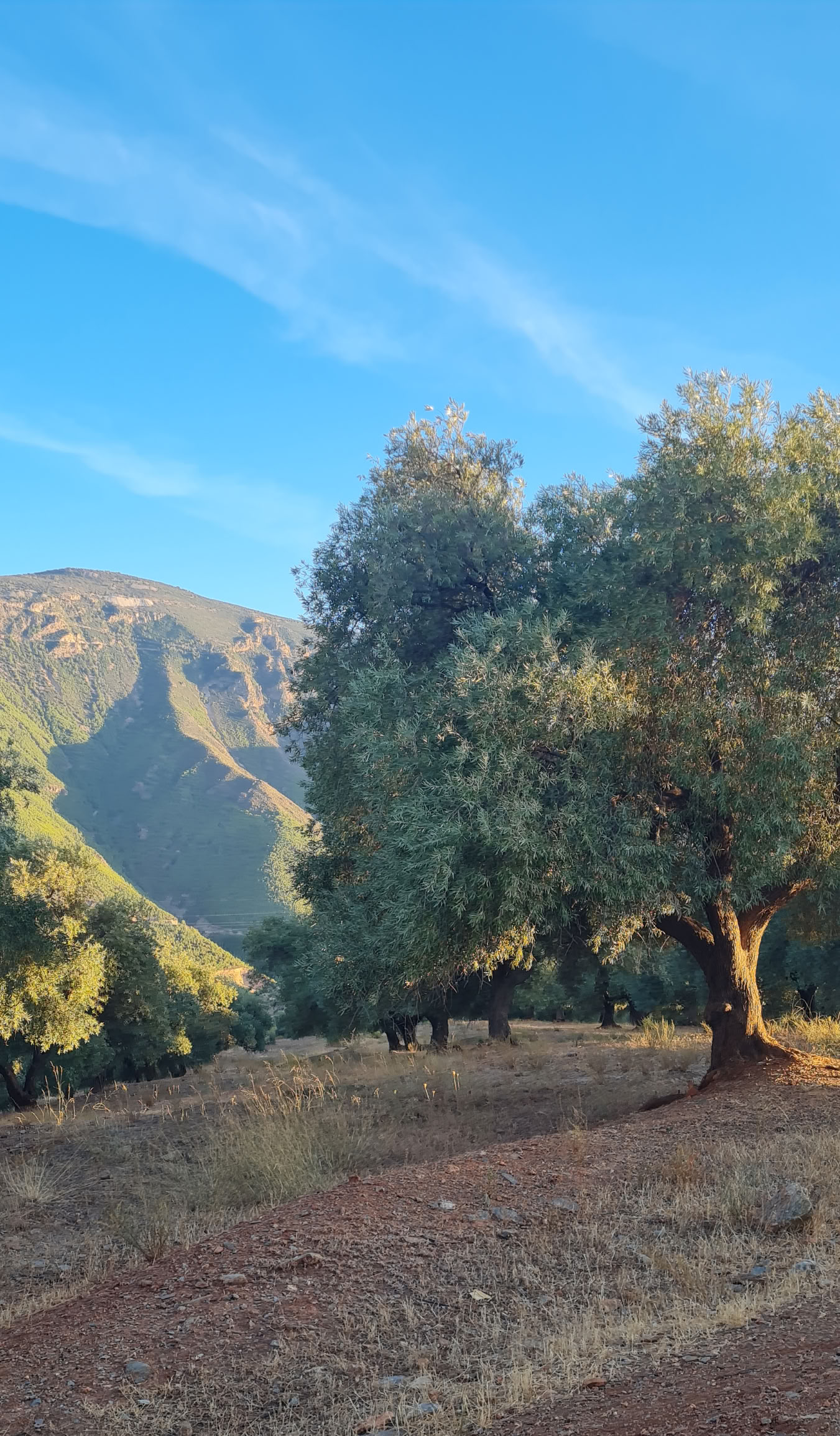 6-tägiges Natur- und Yoga-Retreat