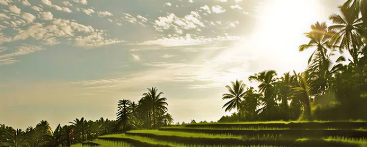 Bali Yoga Retreat