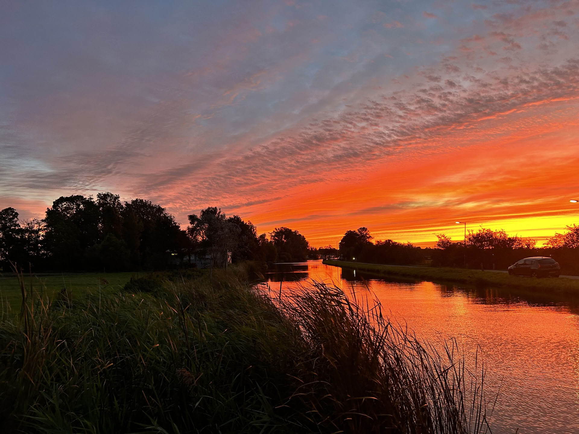 Private Ayahuasca-Session