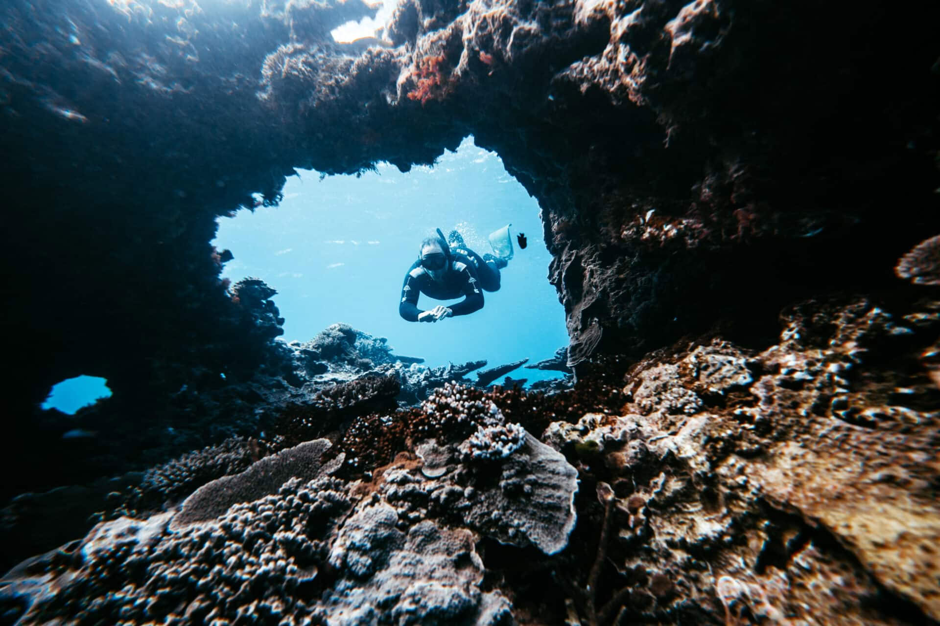 Freitauchen & Einladung nur auf persönliche Einladung auf Lady Elliot Island