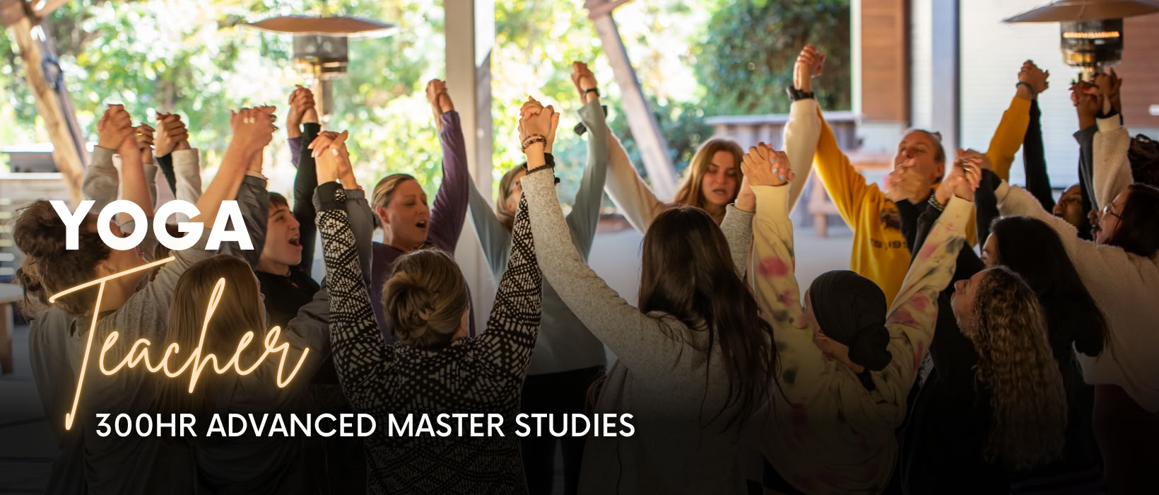 300-Stunden-YTT | Chakra Flow University – Der Weg des Lehrers & Abschluss
