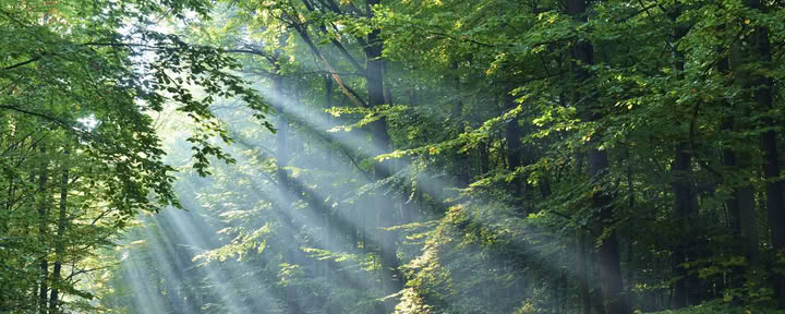 Spirituelle Mentoring-Session