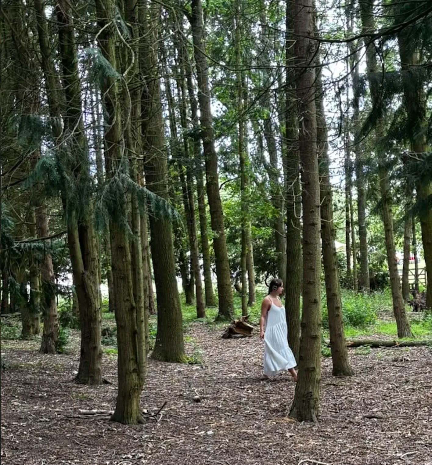 Familien-Naturtag-Retreat auf der Willowbrook Farm | Ende der Sommerferien — enwild retreat