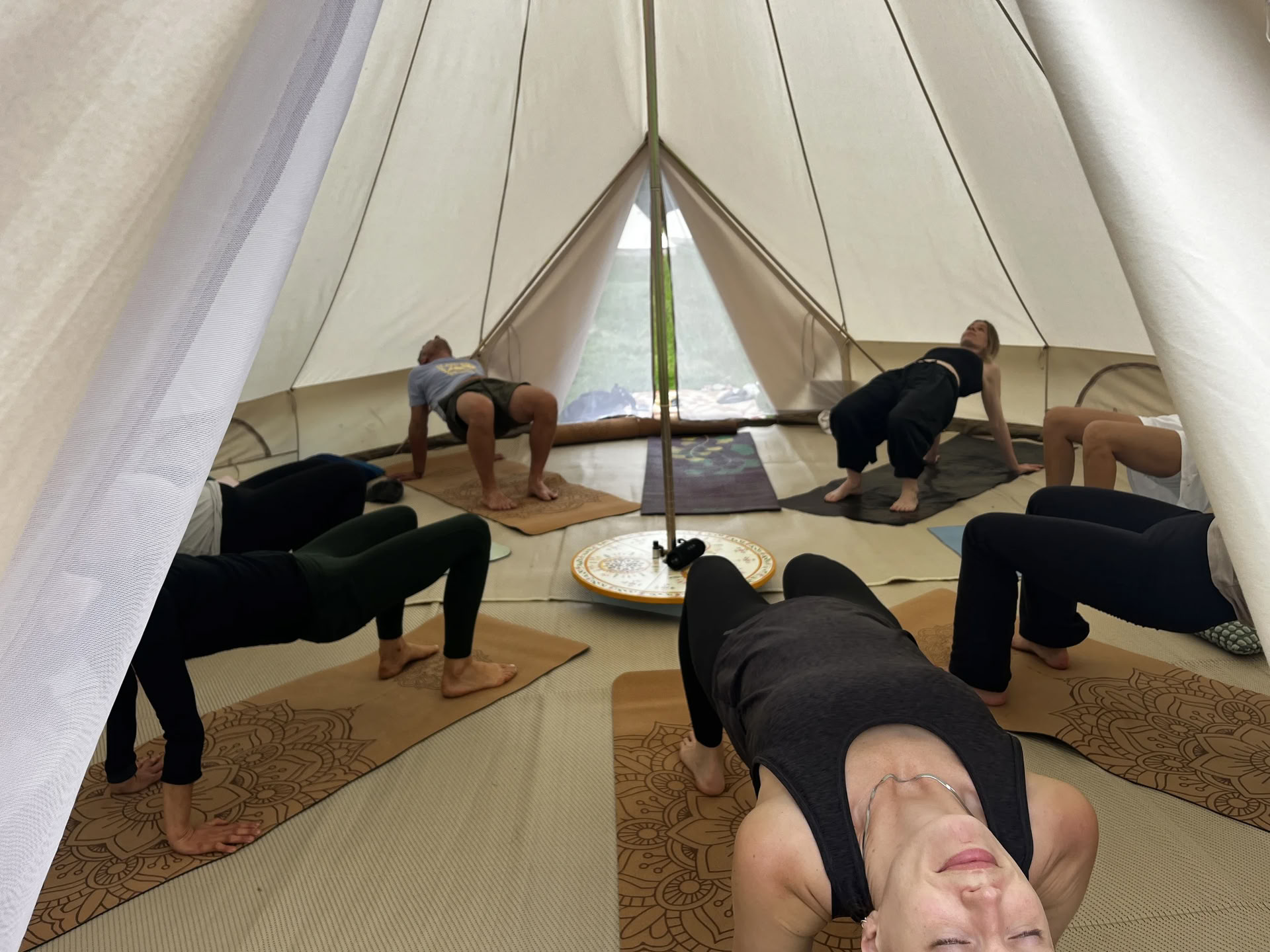 Würdiges Erdfestival — enwild Retreat