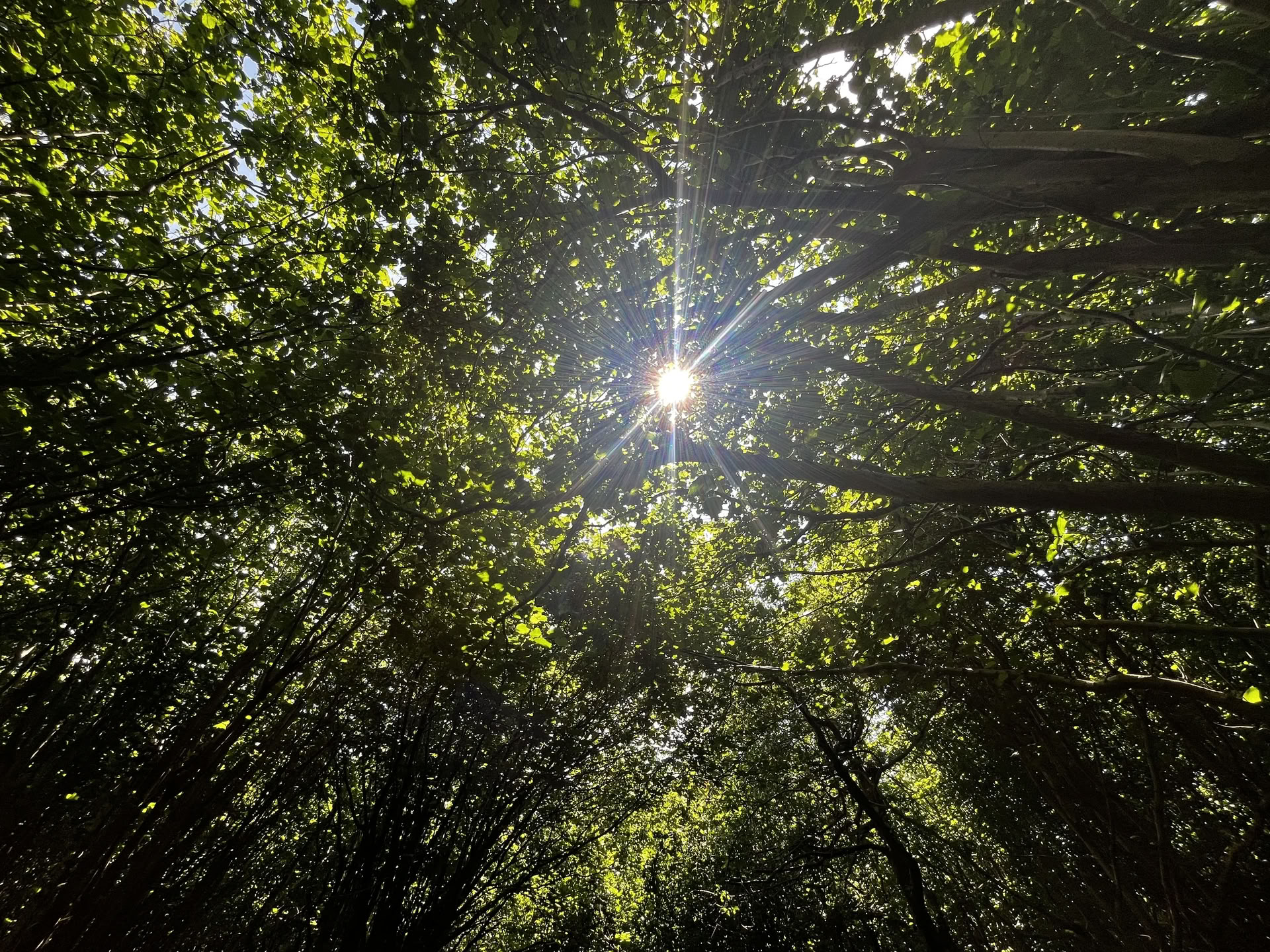 Familien-Naturtag-Retreat