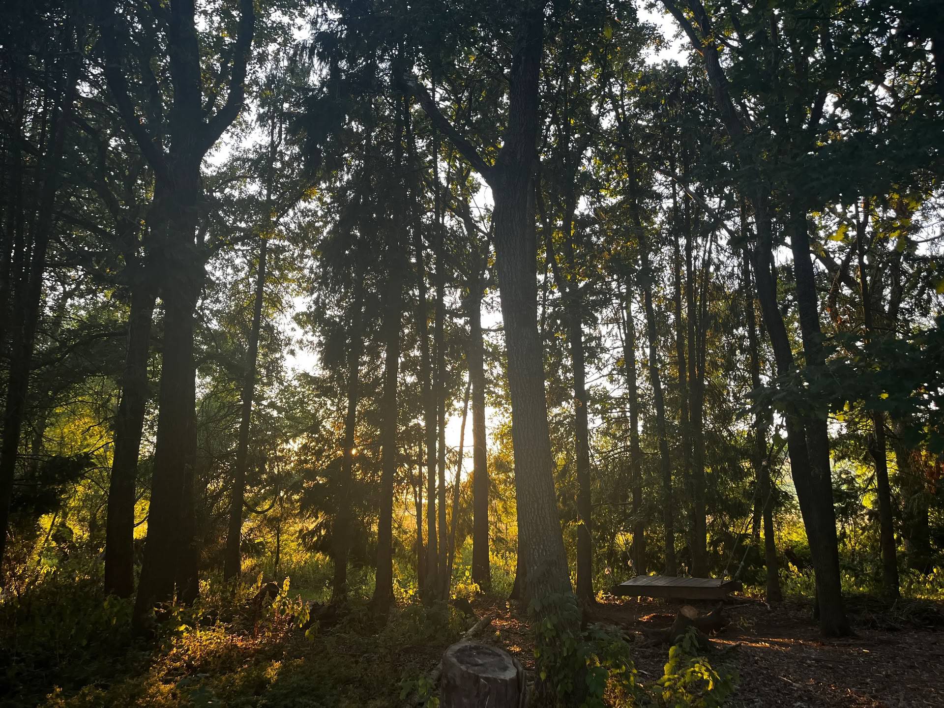 Familien-Naturtag-Retreat