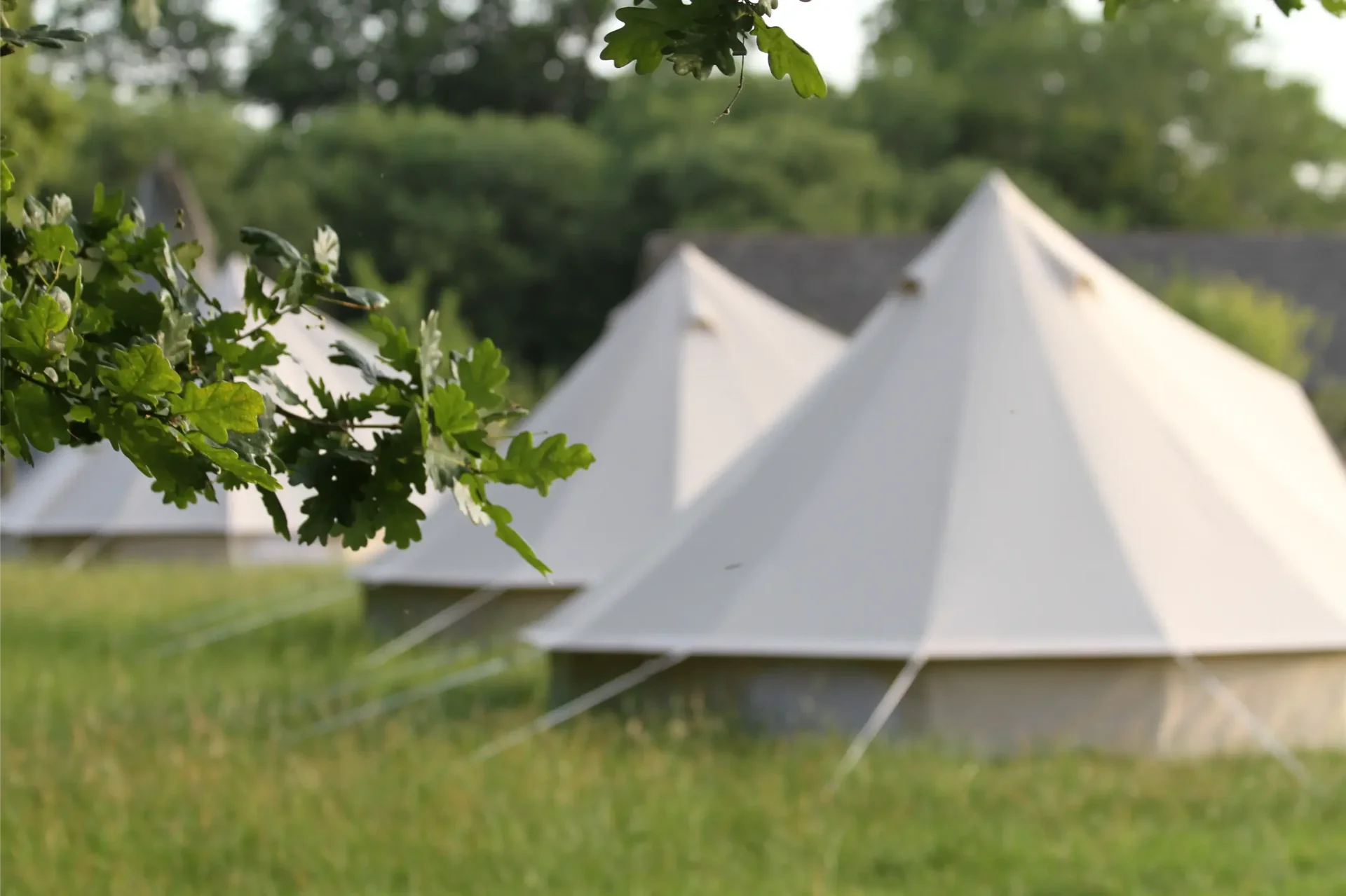 Familien-Naturtag-Retreat