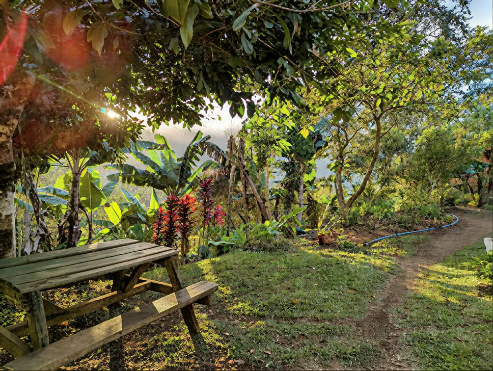 Spanisch-Immersions- und Wellness-Kurs (29. November–13. Dezember 2026)