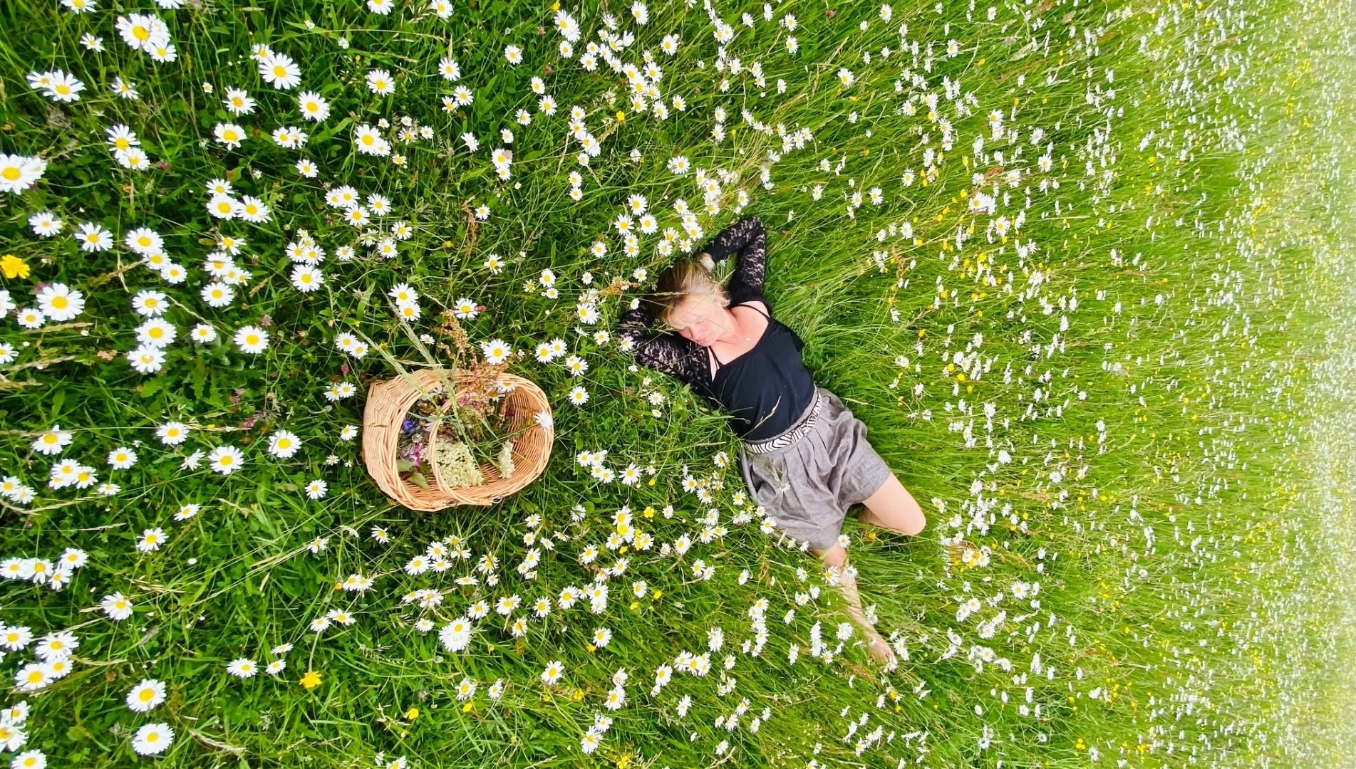 SoulActivation 4-Wochen-Kurs