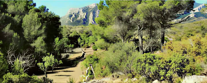 Yoga- und Tiefenruhe-Meditations-Retreat