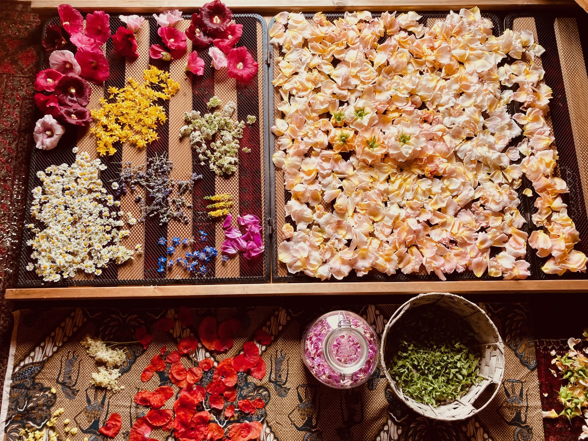 Spiegelungstraining für Naturbegleiter und Coaches – 22. bis 25. Oktober 2026 – LETZTE 2 PLÄTZE