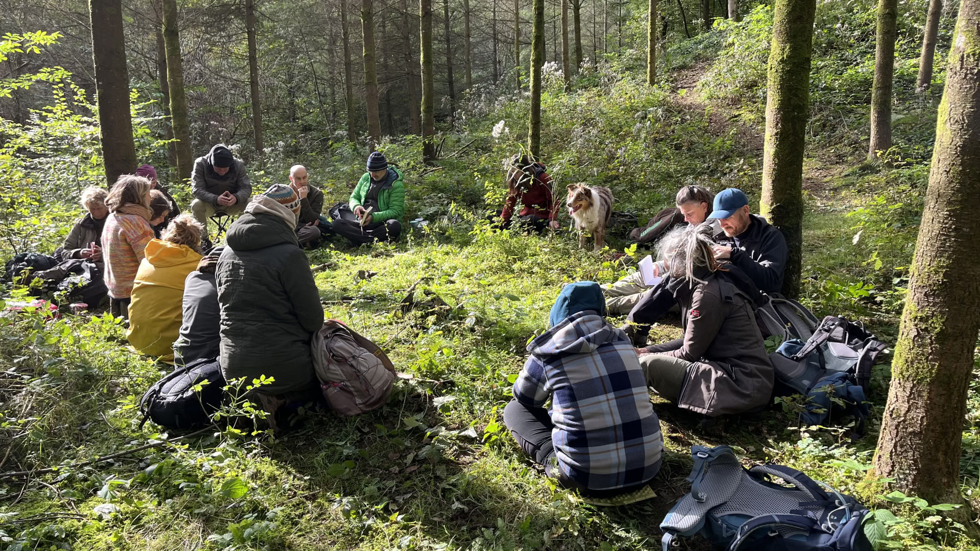 Spiegelungstraining für Naturbegleiter und Coaches – 22. bis 25. Oktober 2026 – LETZTE 2 PLÄTZE