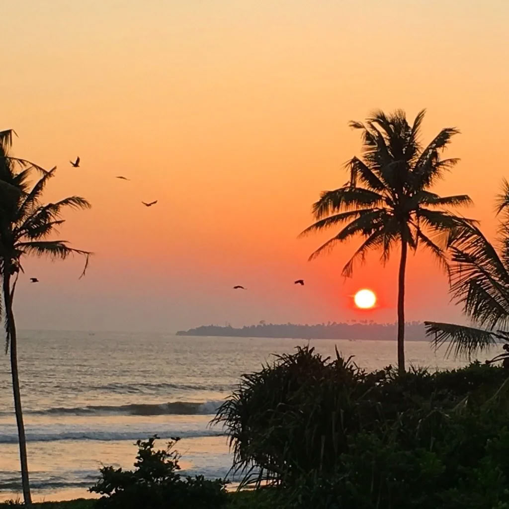 Tanz-, Surf- und Yoga-Retreat in Sri Lanka