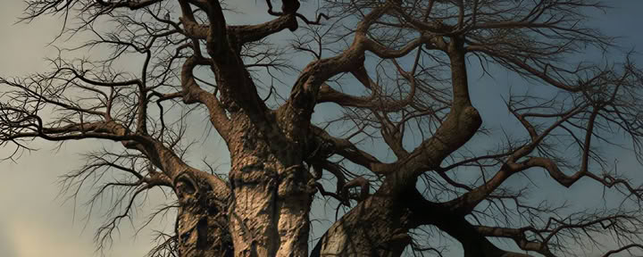 Busch-Retreat 7 Tage - Hambana Lifestyle Lodge