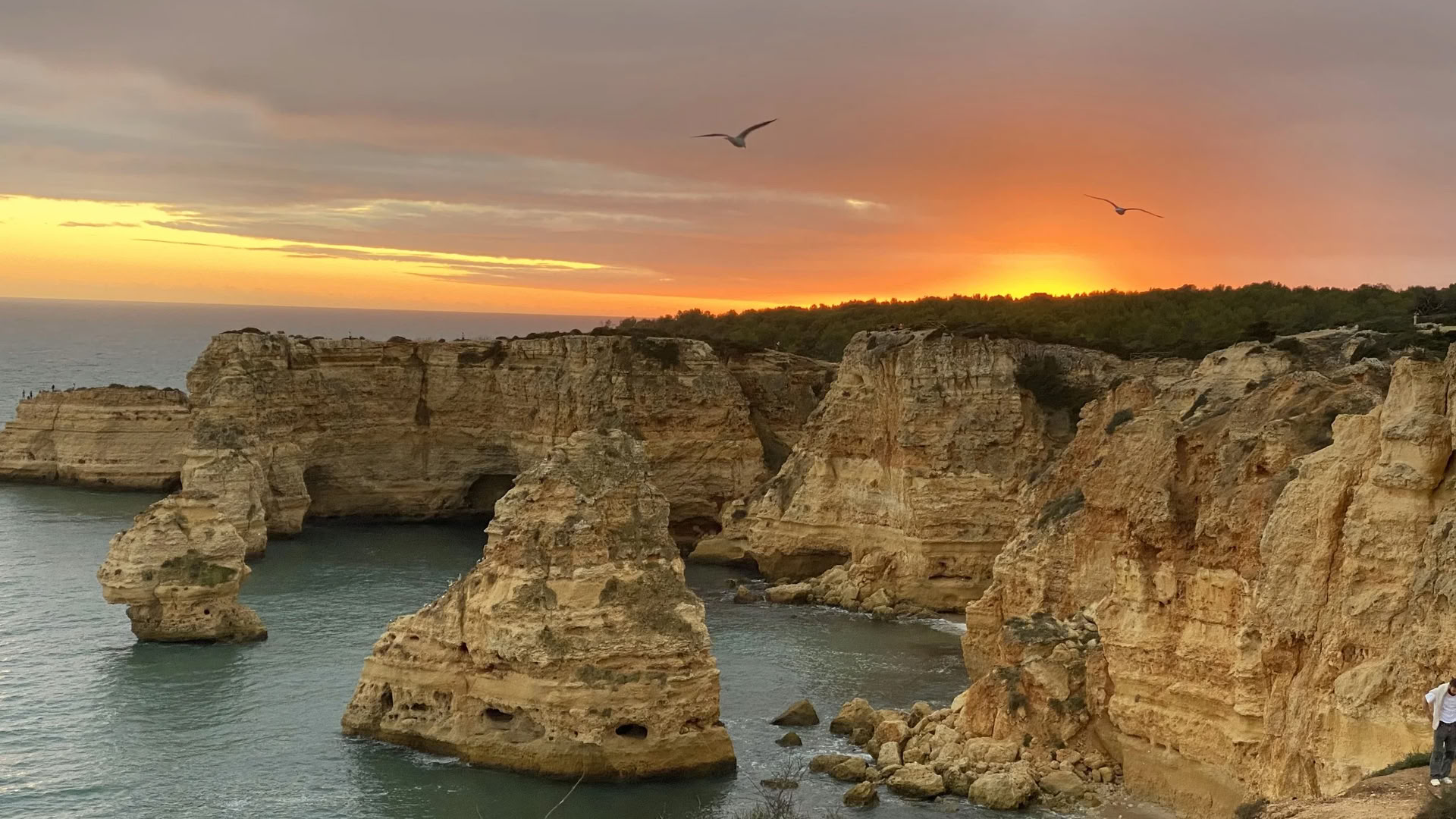 9 – 15. Oktober 2026 — Yoga-Retreat in der Algarve