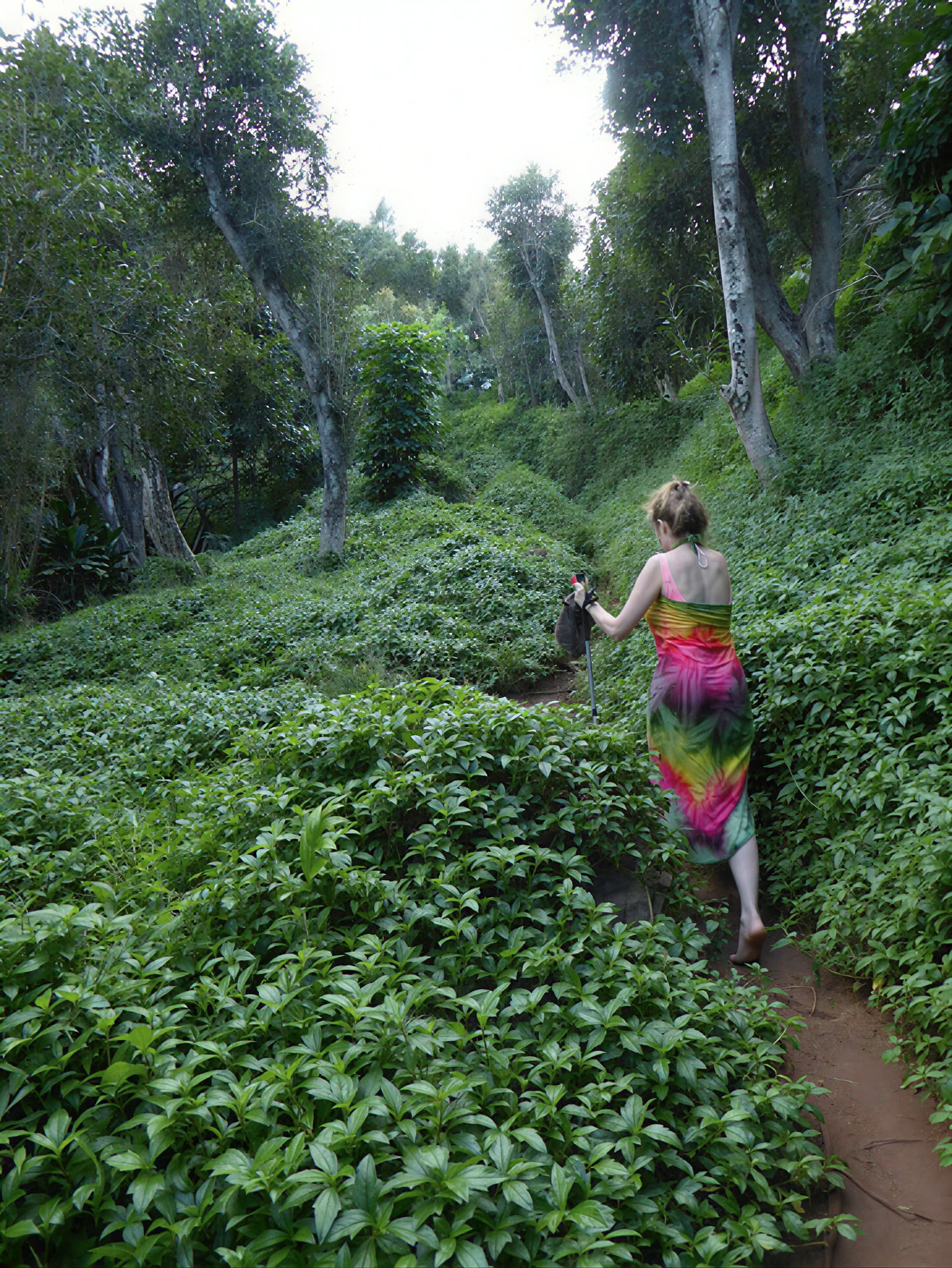 Yoga-Retreat auf Kauai, Hawaii