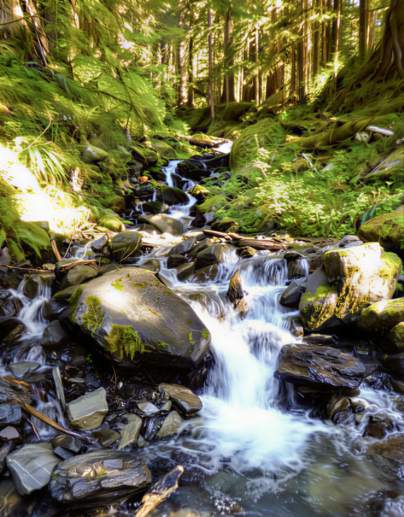 Yoga-, Wander- und Pickleball-Retreat an den Cascades