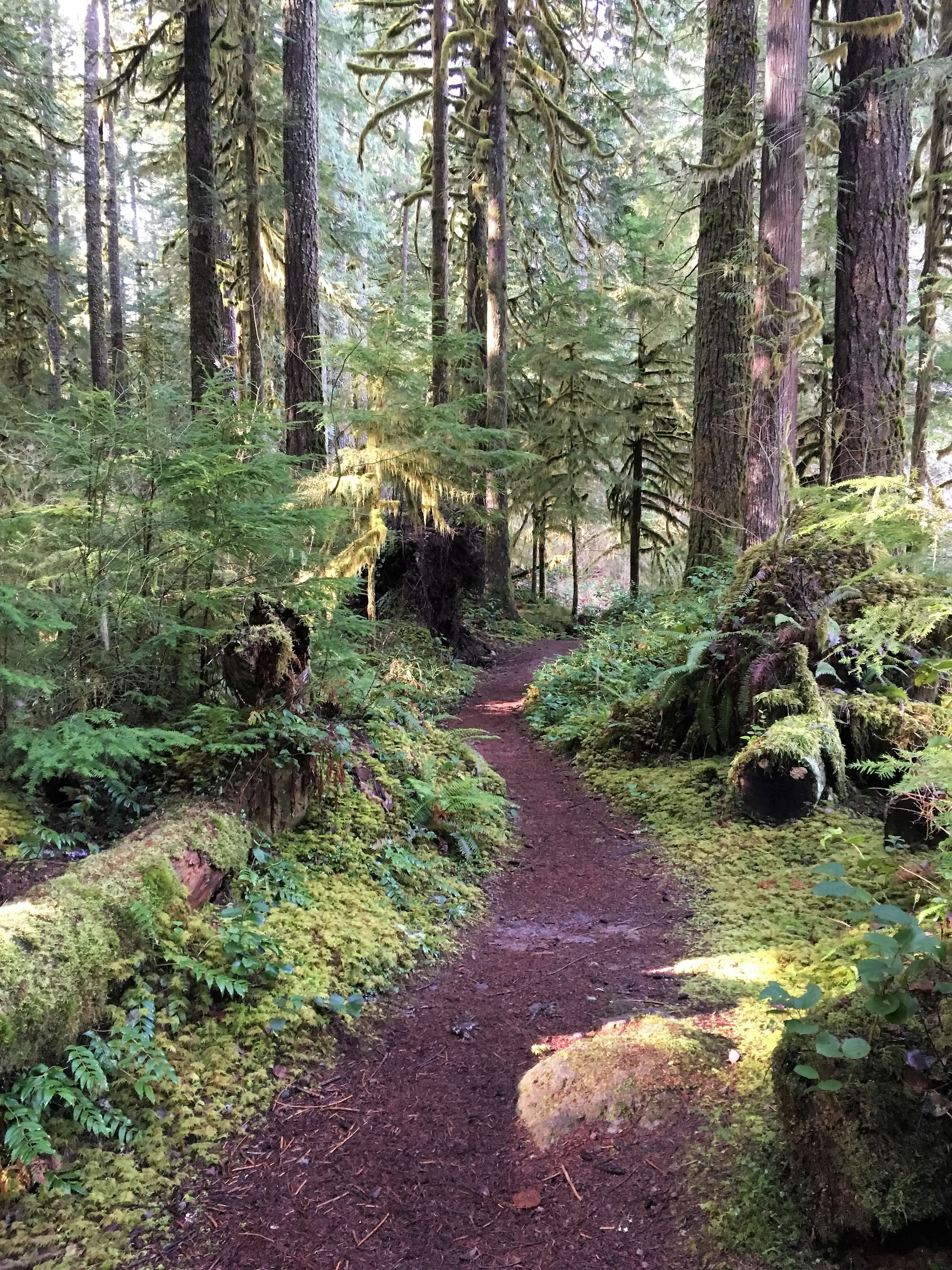 Aldermarsh: Yoga- und Meditations-Retreat im Bundesstaat Washington