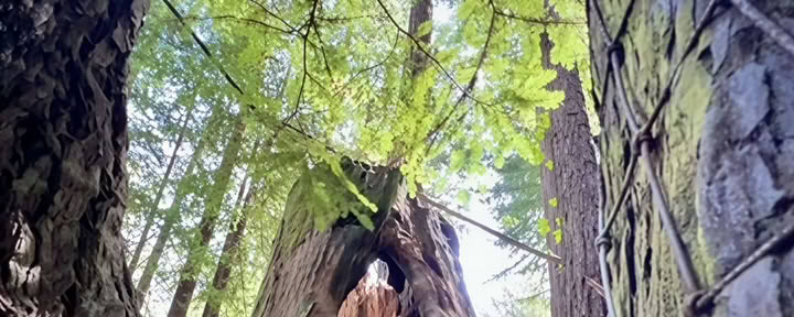 Rekalibrieren: Seele + Geist Eintauchen