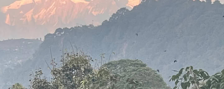 Himalaya-Heil- und Abenteuer-Retreat