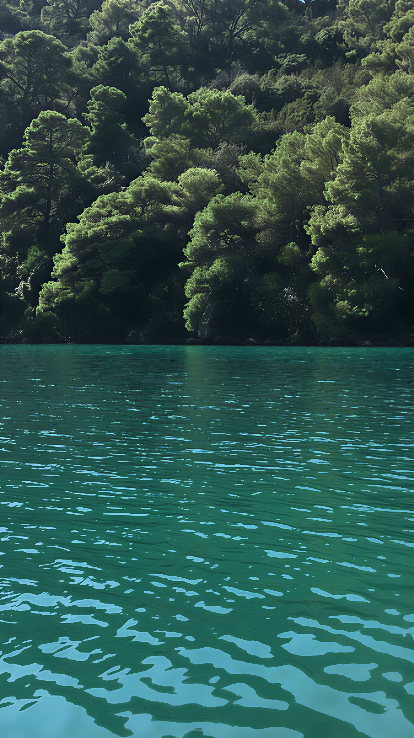 Mljet Retreat-Erlebnis