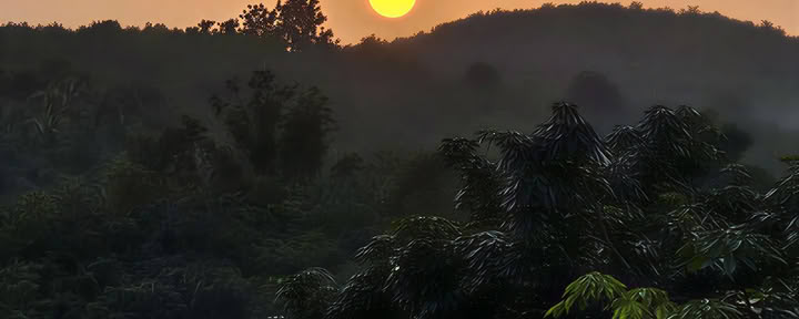 Wellness-Retreat in Kerala