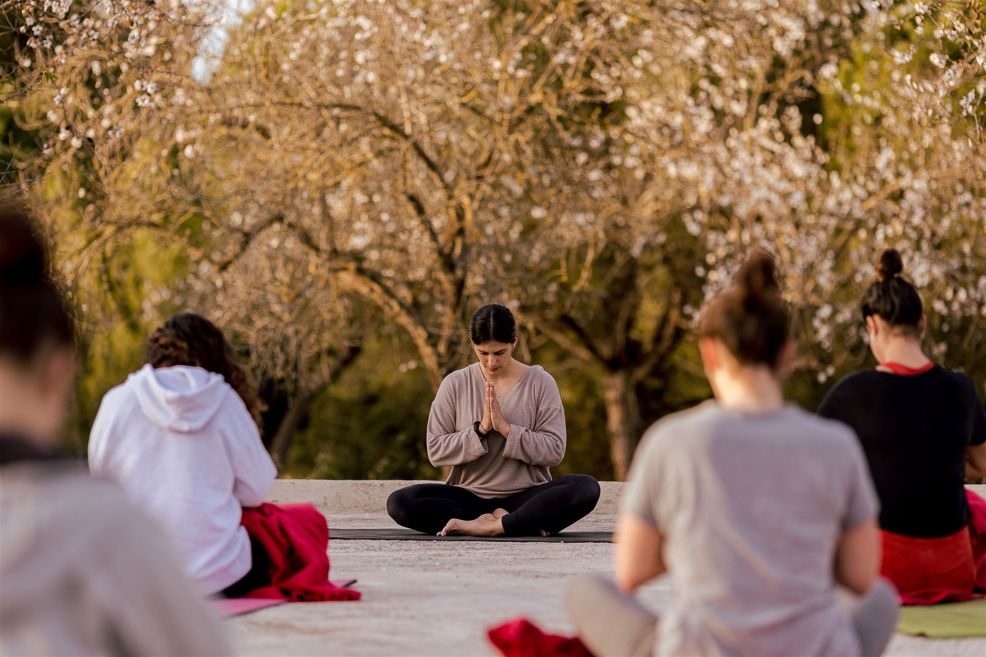 Vinyasa-Yoga bei IBIZALOE (San Antonio)
