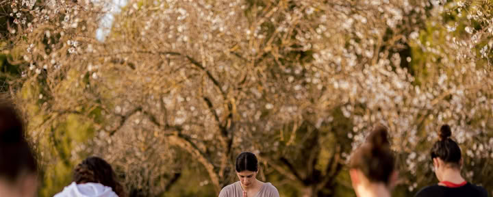 Vinyasa-Yoga bei IBIZALOE (San Antonio)