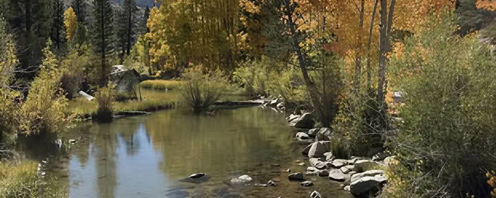 Yoga-Auszeit am Bishop Creek