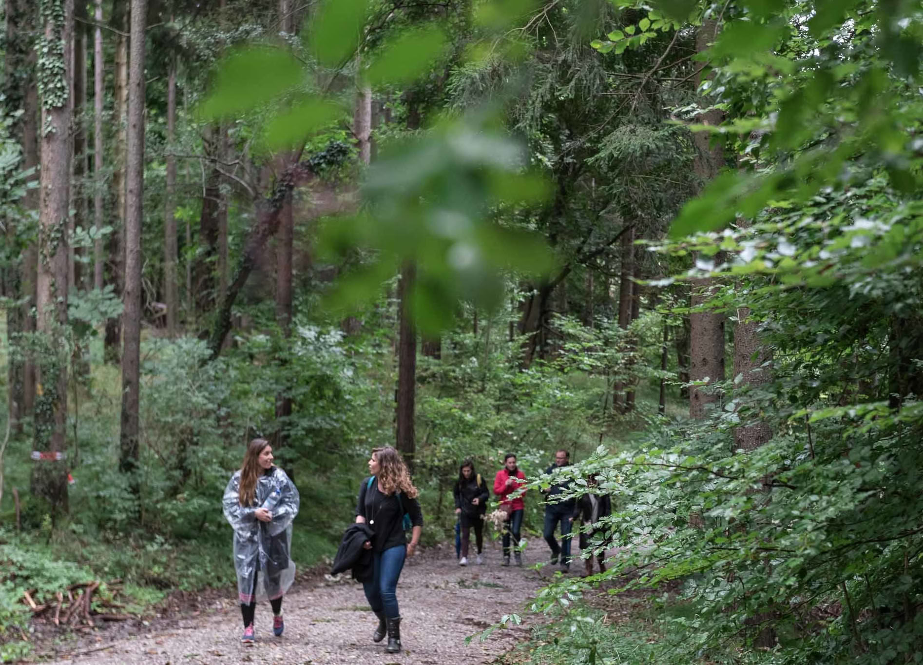 Der Suchende der sieben Pfade | Kostenlos (August) — Lake Osceola Retreat
