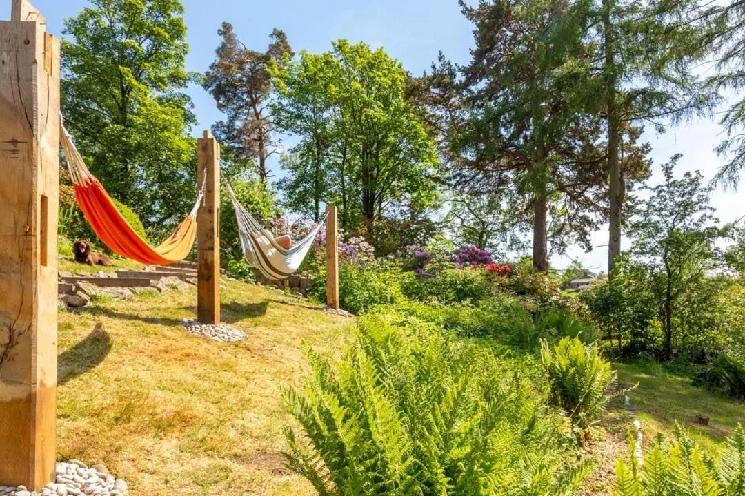 SUP für Anfänger, Yoga, Wildschwimmen & Sauna