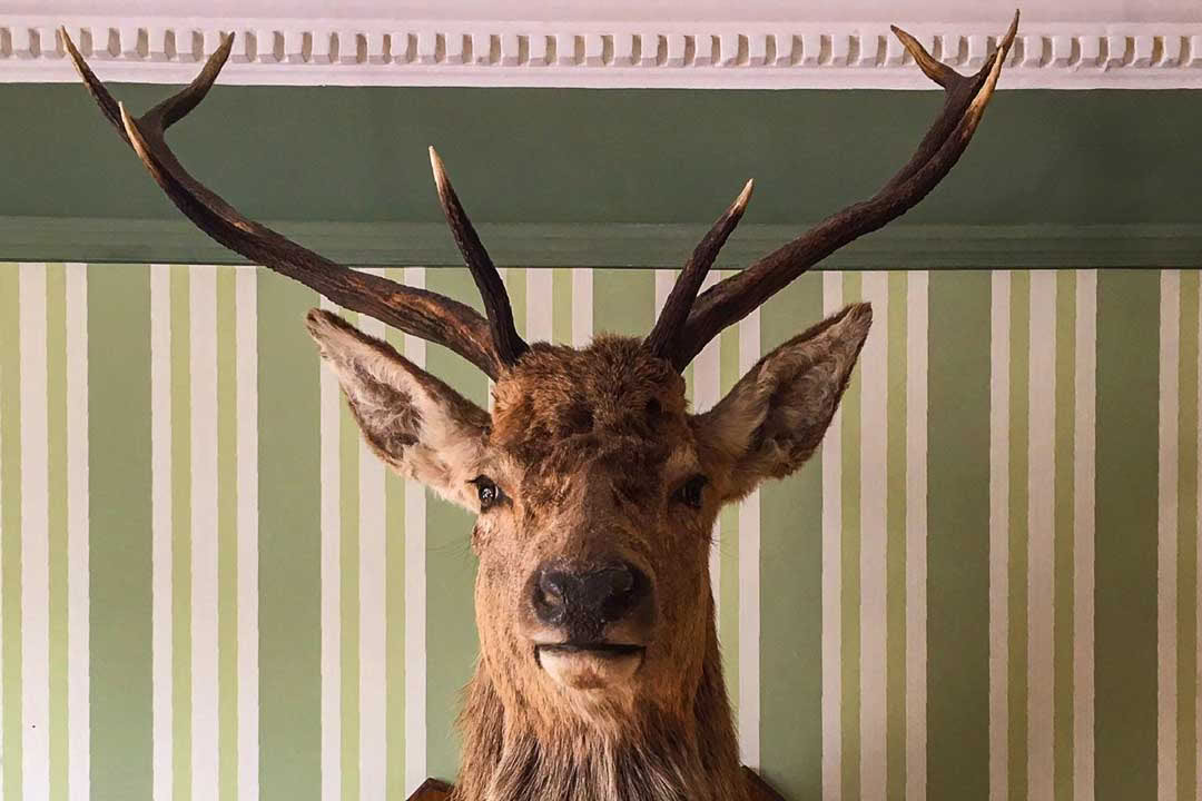 Entspannung in Rannoch