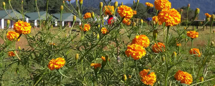 Yoga-Retreat in Dhampus