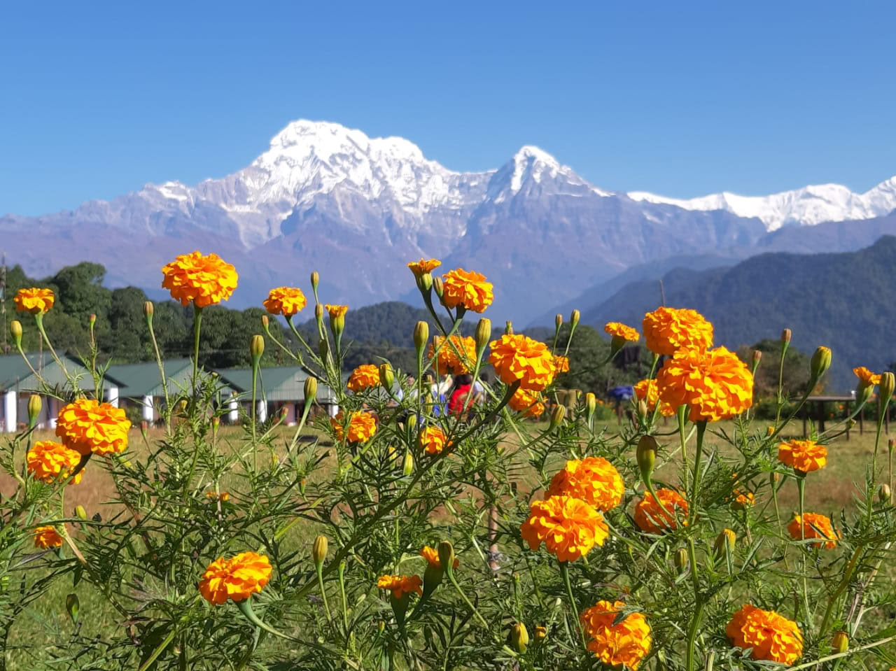 7 Tage/6 Nächte: Yoga-Retreat in Astam