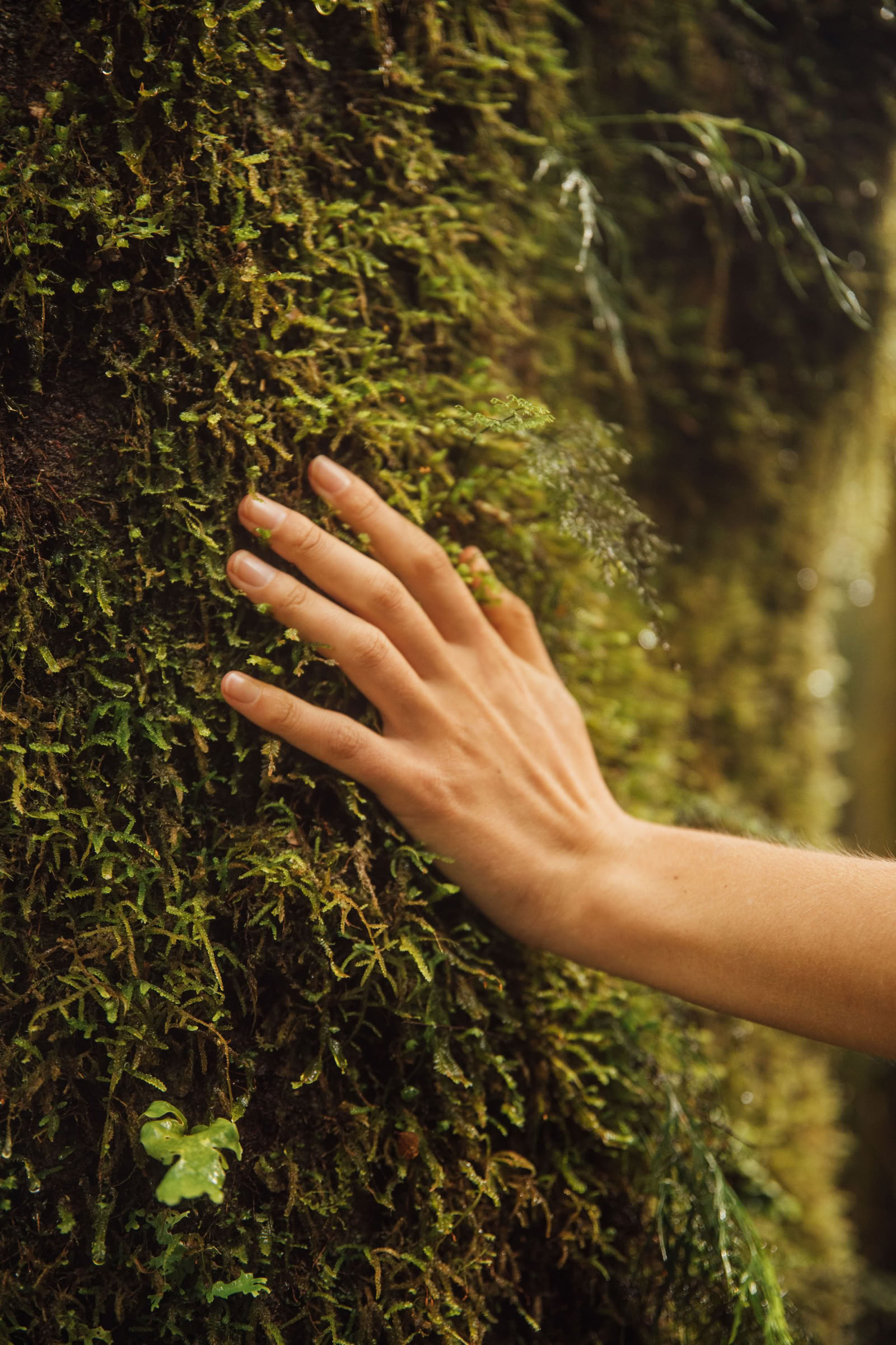 Verbinde dich wieder mit der Natur
