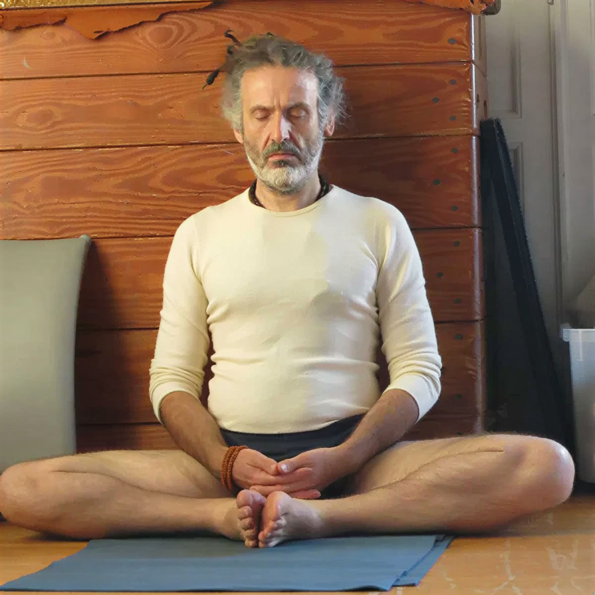 200-Stunden-Yogalehrerausbildung Level I | Iyengar Yoga, Hatha – Kriya und Tantra Yoga