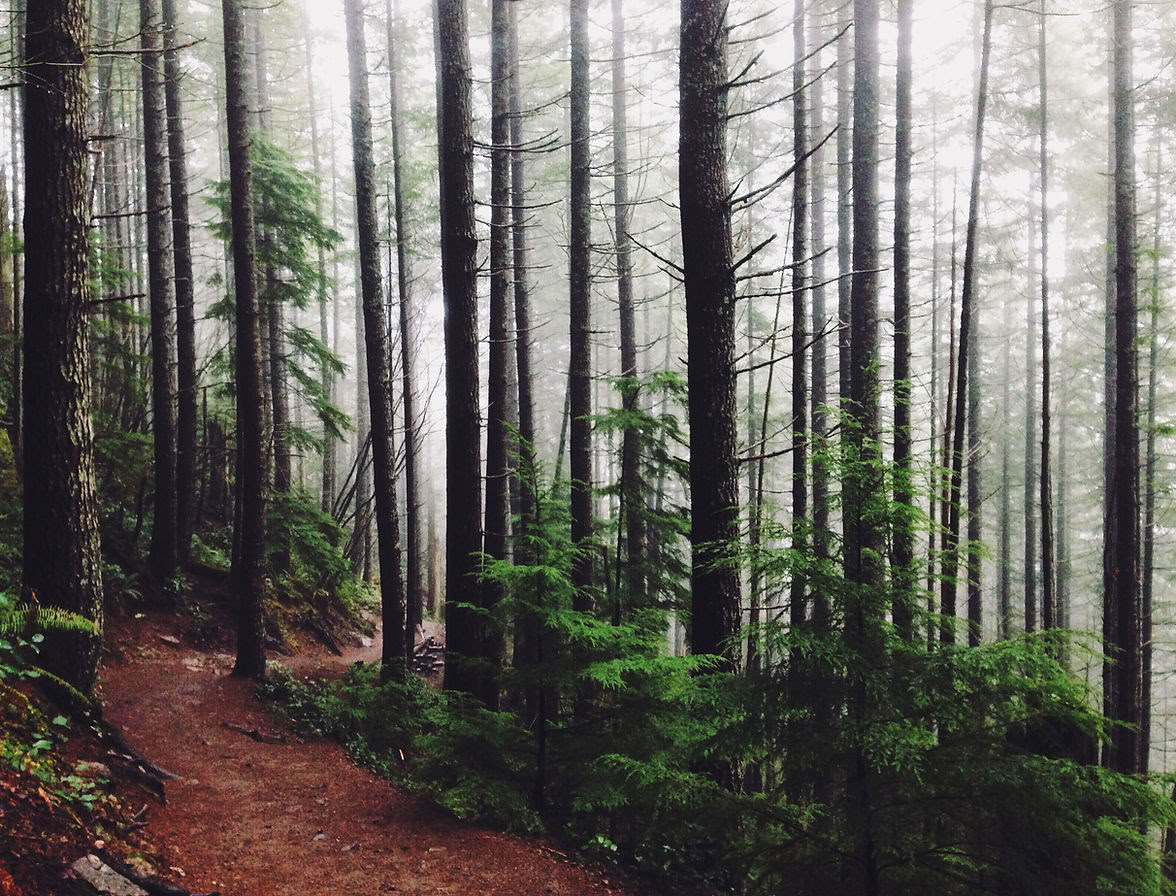 Poonhill – Yoga-Trekking