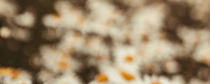 Mountain Reset Retreat | 23. August