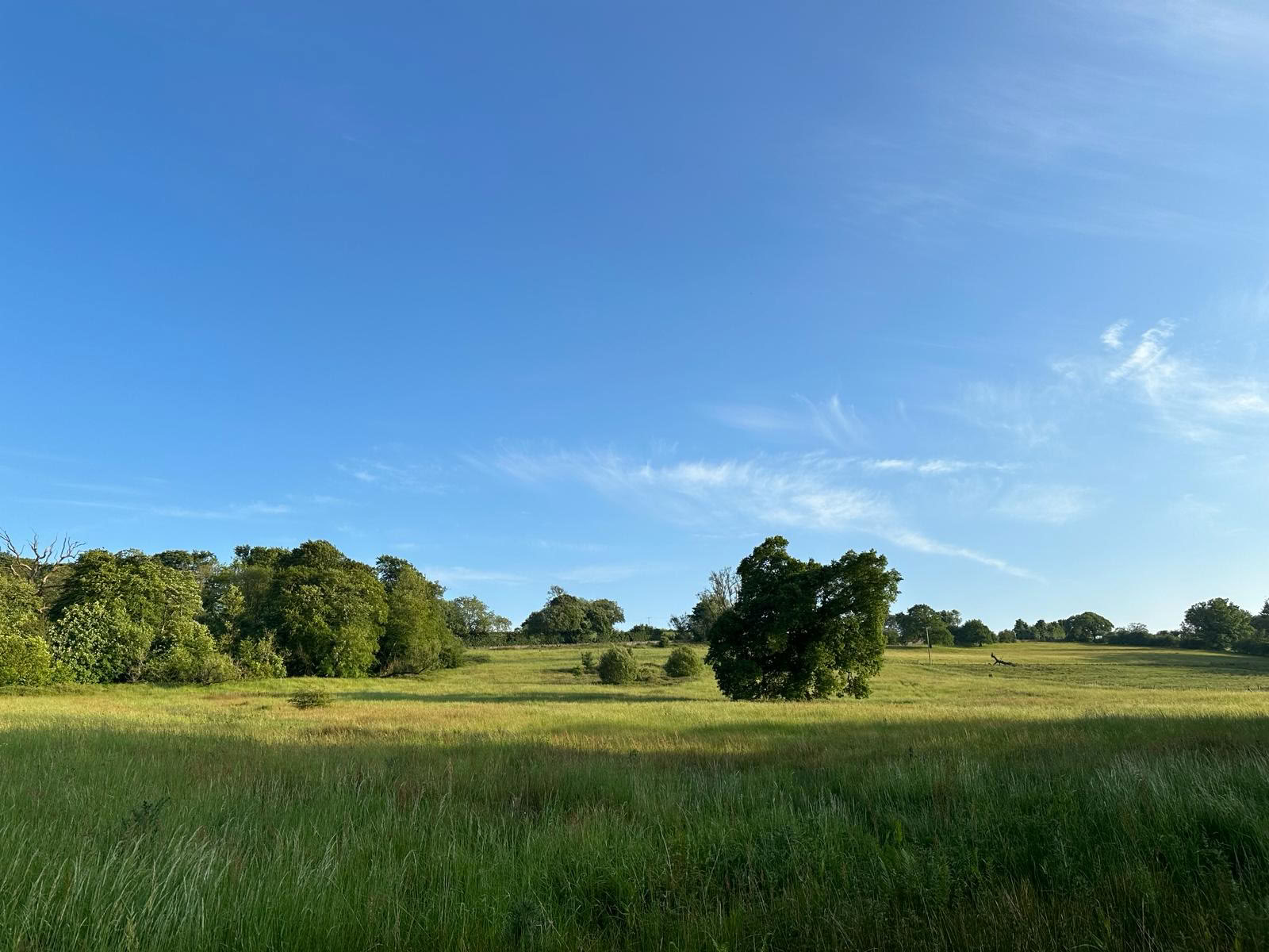Retreat zum Schreiben von Gedichten: Landschaft als Archiv