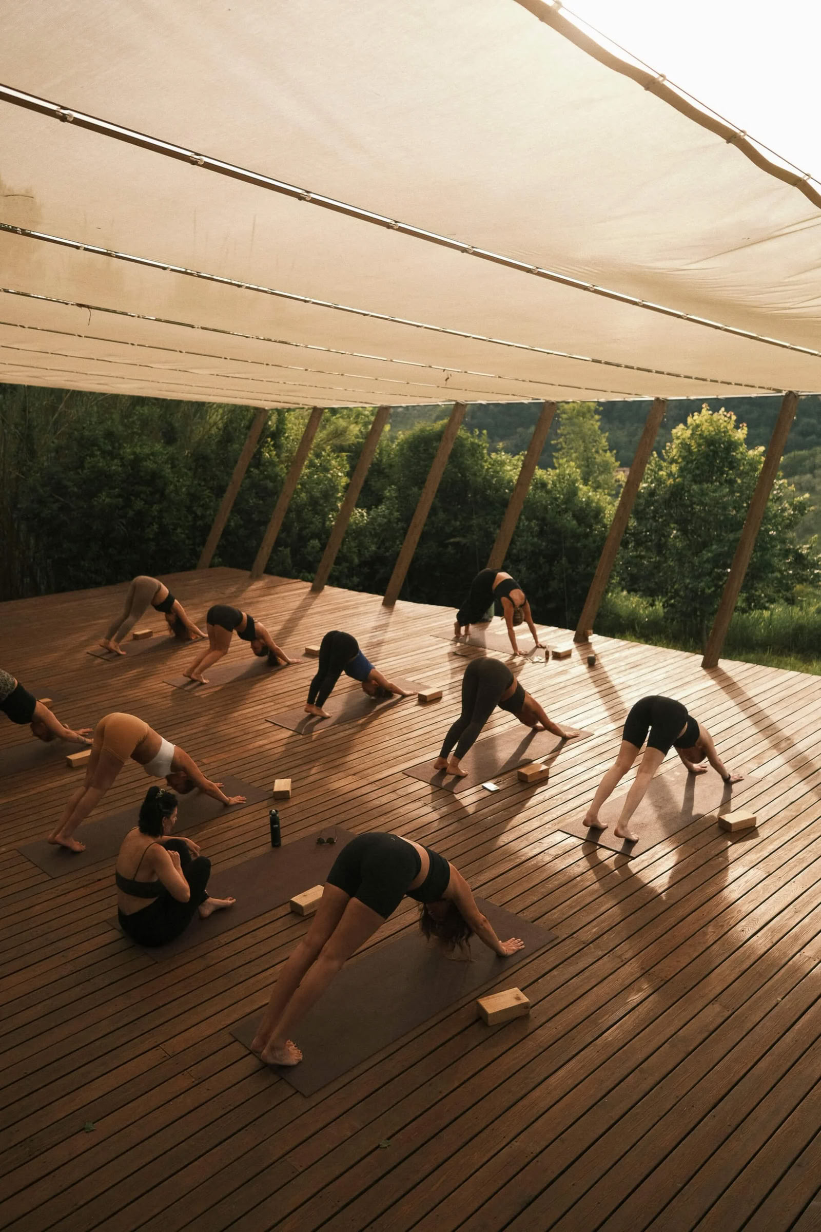 Inneres Leuchten Vinyasa-Yoga-Retreat