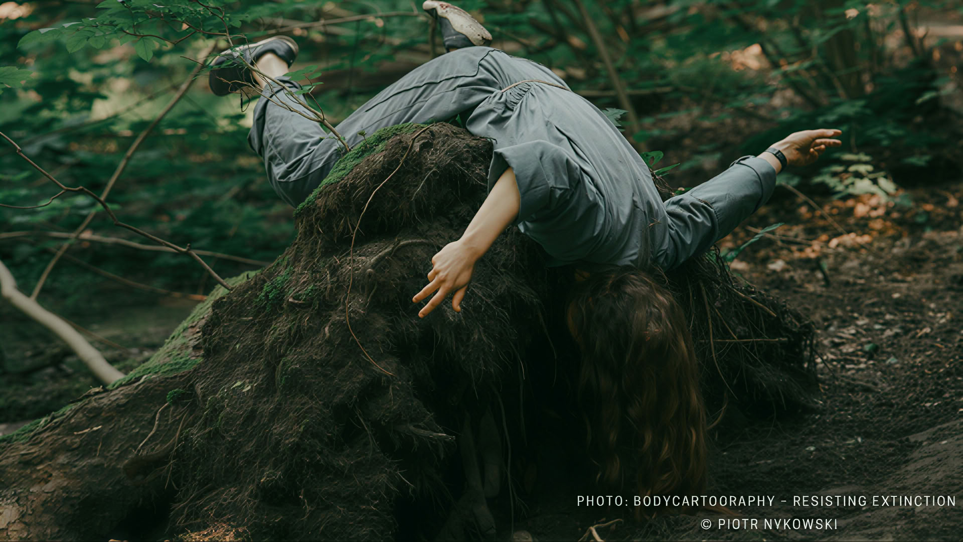 Spätsommer-Intensivtraining für Tanzimprovisation